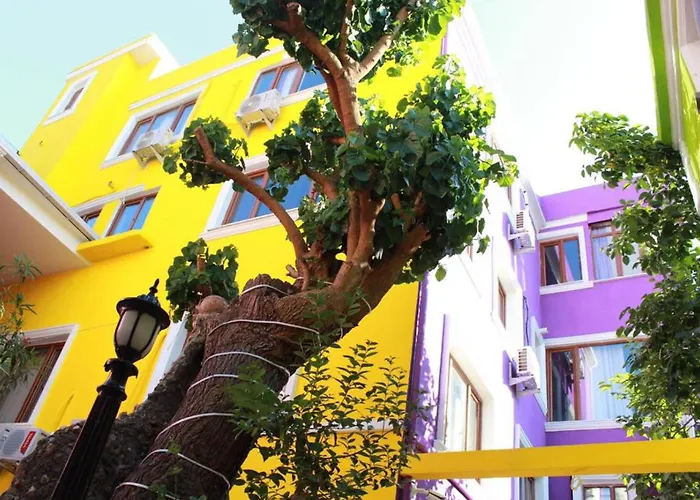 The Zanadu Istanbul